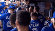 Blue Jays Celebration GIF by Toronto Blue Jays