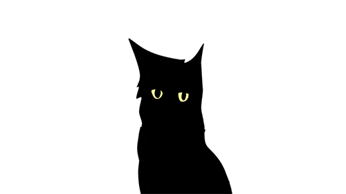 say what black cat Sticker