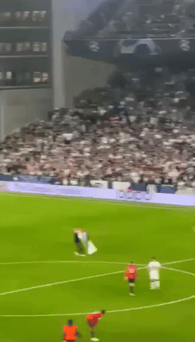 Palestinian Flag Carried by Pitch Invader at Copenhagen vs Manchester United Champions League Match