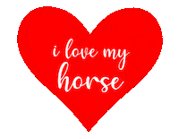 Equestrian Sticker by Marina Layton