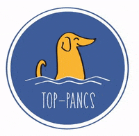 top-pancs toppancs GIF