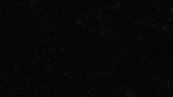 2d animation fire fly GIF by Caleb Wood