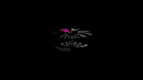 frieslandcollege giphygifmaker GIF