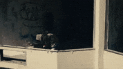 Let Me Work Hip Hop GIF by J.I.D.