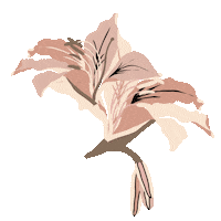 Flower Argentina Sticker
