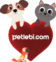 Cat Dog Sticker by Petlebi