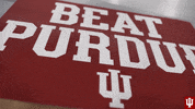 Fan GIF by Indiana Hoosiers