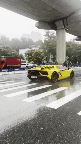 Pogcoi giphycreatortest GIF