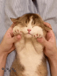 Fun Playing GIF