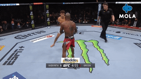 Angry Ultimate Fighting Championship GIF by MolaTV