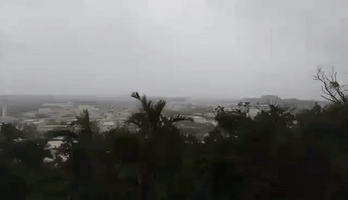 Typhoon Vongfong's Heavy Winds Sway Trees in Okinawa