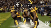 Pittsburgh Steelers Football GIF by NFL