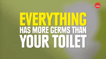 More germs than toilet