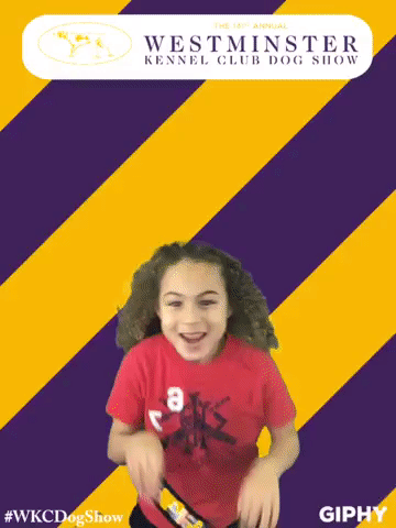 wkcdogshow GIF by Westminster Kennel Club