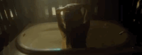 kacey musgraves GIF