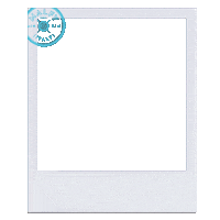 malfygin summer vintage photo camera Sticker