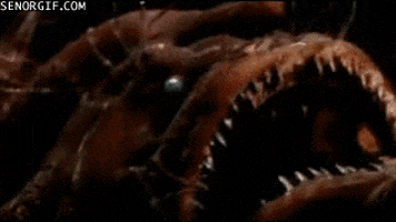 angler fish creatures GIF by Cheezburger