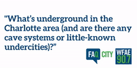charlotte faq city GIF by WFAE 90.7 (Charlotte's NPR News Source)