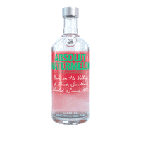 Happy Hour Summer Sticker by Absolut Vodka