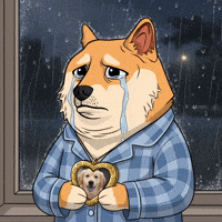 Sad Shiba Inu GIF by Doge Pound