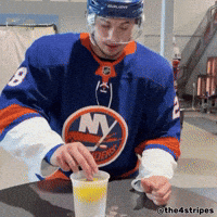 Hockey Seriously GIF