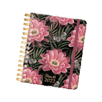 Stationery Tervezo Sticker by Lizzy Card