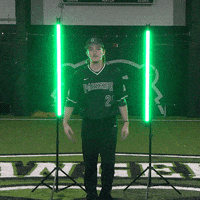 Parkside Baseball GIF by Parkside Athletics