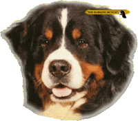 stud STICKER