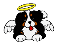 ci STICKER