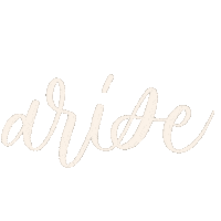 Sun Arise Sticker by Anjeli ✦