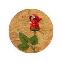 collectifpierreetmarie art rose pierreetmarie lespaysagesrevolutionnaires Sticker
