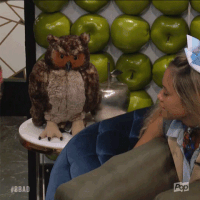bigbrotherafterdark big brother bbad big brother after dark bb19 GIF