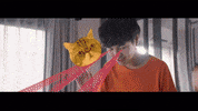 à¸à¹à¸²à¸à¸«à¸¥à¸±à¸à¹à¸«à¸¡à¹ hello GIF by SC Asset