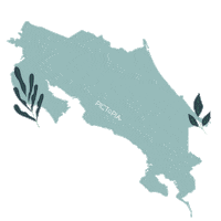 America Leaf Sticker