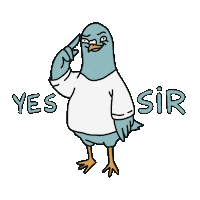 Pigeon Yes Sticker
