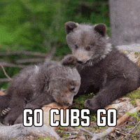 Go Cubs Go