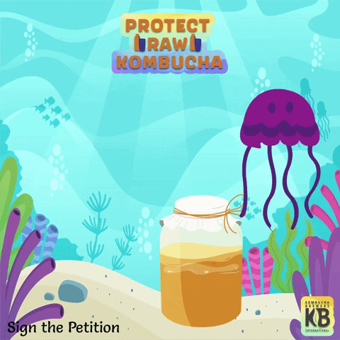 kombuchabrewers kombucha jellyfish kbi signthepetition GIF