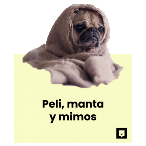 NubikaFormacion dog animal perro funny dog Sticker