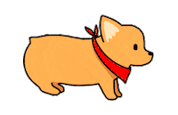 cuidate_fau dog perro fau pate Sticker