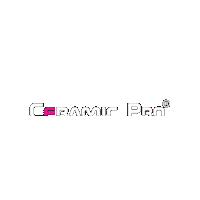 Coating Detailing Sticker by Ceramic Pro USA