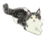 Cats Leona Sticker by Peiii111