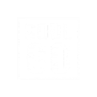 Soul60 Sticker by teamsoul