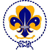 Transparency Scout Sticker by Pioneros y Pioneras - Chile