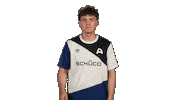 Arminia Bielefeld Football Sticker by Bundesliga