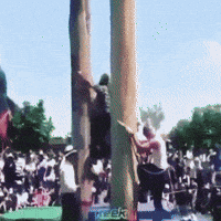 climbing pole GIF