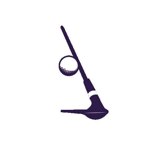 Pga Tour Golf Sticker by Truist
