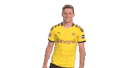 Happy Borussia Dortmund Sticker by Bundesliga