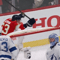 Celebrate Hands Up GIF by Florida Panthers