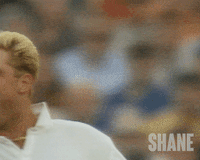 Big Bash Cricket GIF by Madman Films