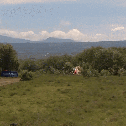 Friday Sliding GIF by FIA World Rally Championship